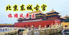 福利社美女露乳中国北京-东城古宫旅游风景区